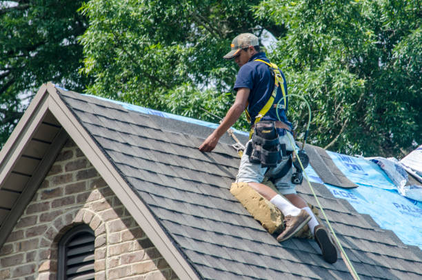 Best Roof Waterproofing Services  in Quinlan, TX